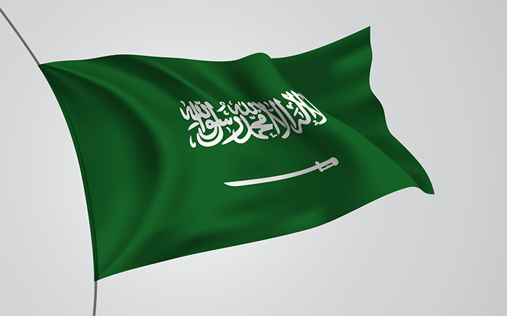 H.R.H Prince: Faisal Bin Mashari Bin Abdulaziz Al Saud appointment as Special Envoy for Peace & Development and director of the branch of Saudi Arabia